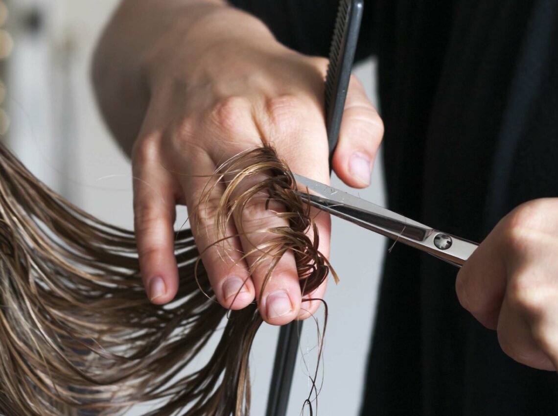 How Often Should You Get a Haircut? Lengths, Types, and Getting an Appointment